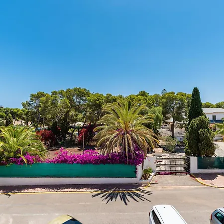 Lejlighed Victoria Comfort Punta Prima